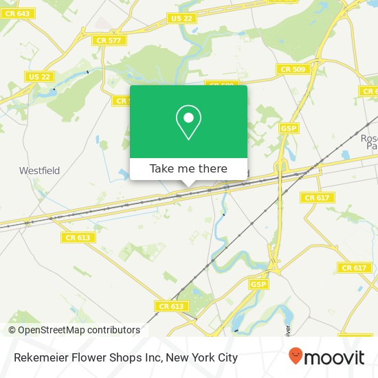 Rekemeier Flower Shops Inc map