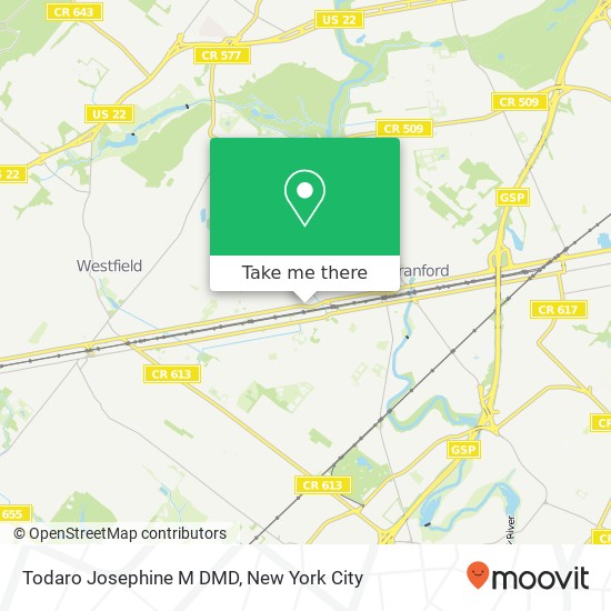 Todaro Josephine M DMD map