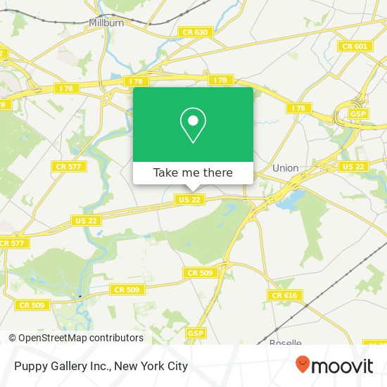 Puppy Gallery Inc. map