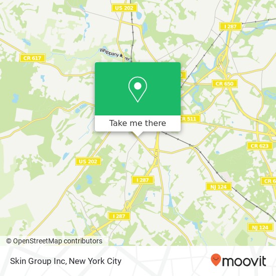 Skin Group Inc map