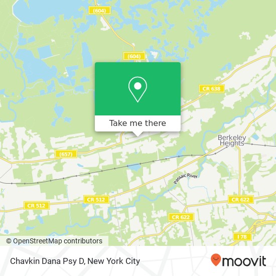 Chavkin Dana Psy D map