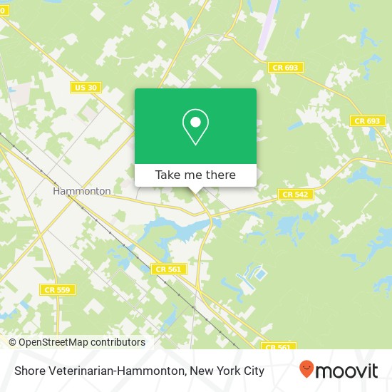 Shore Veterinarian-Hammonton map