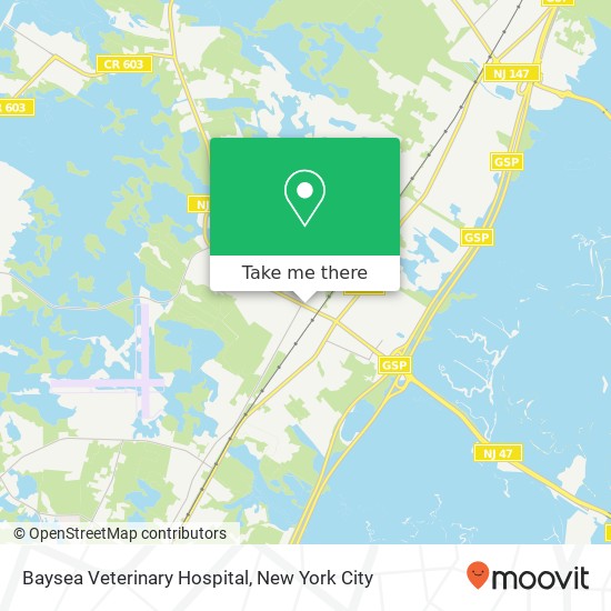 Baysea Veterinary Hospital map