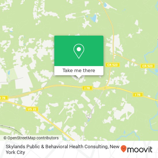 Skylands Public & Behavioral Health Consulting map