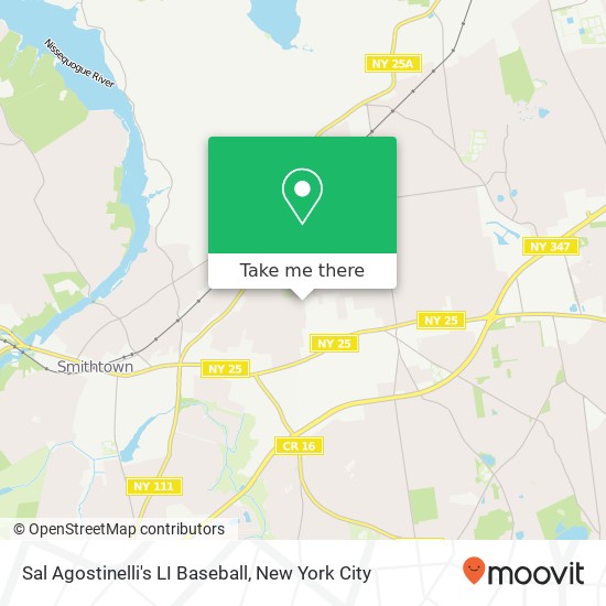 Sal Agostinelli's LI Baseball map