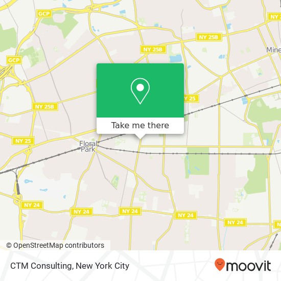 CTM Consulting map