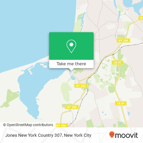 Mapa de Jones New York Country 307