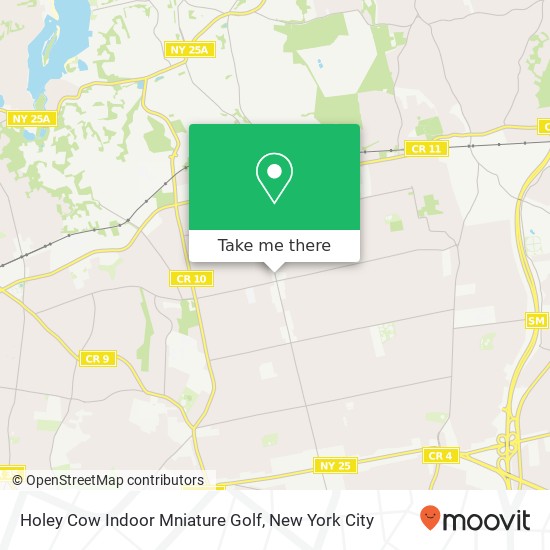 Holey Cow Indoor Mniature Golf map
