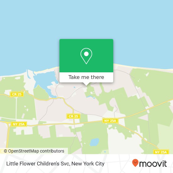 Mapa de Little Flower Children's Svc