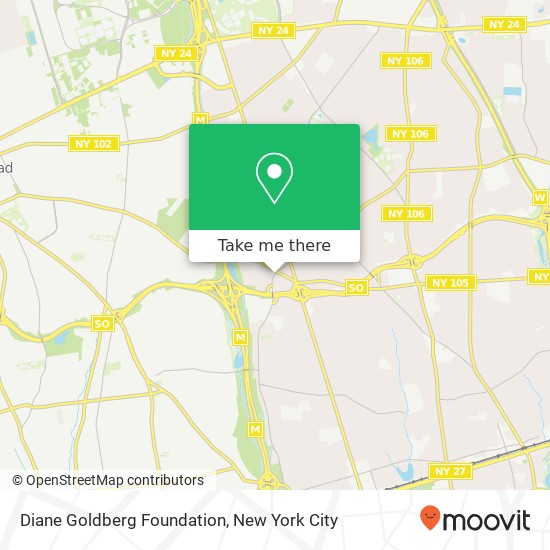 Diane Goldberg Foundation map