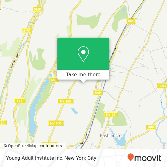 Mapa de Young Adult Institute Inc