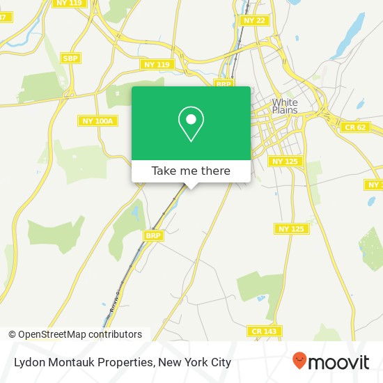 Lydon Montauk Properties map