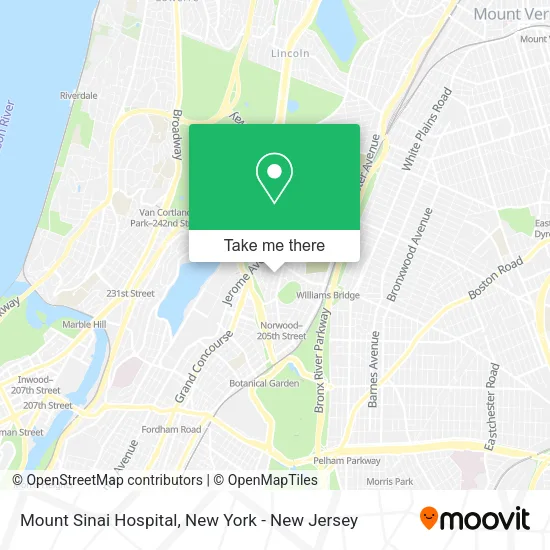Mount Sinai Hospital map