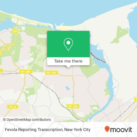 Fevola Reporting Transcription map