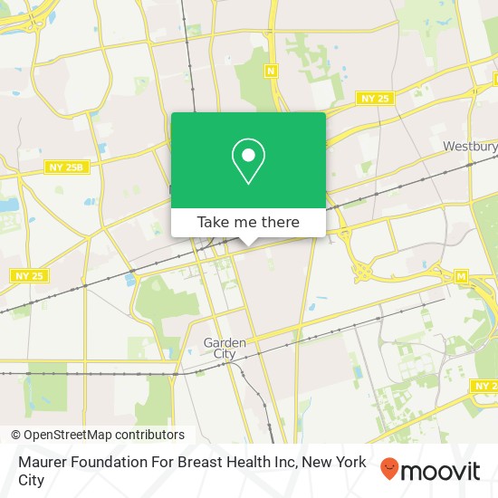 Maurer Foundation For Breast Health Inc map