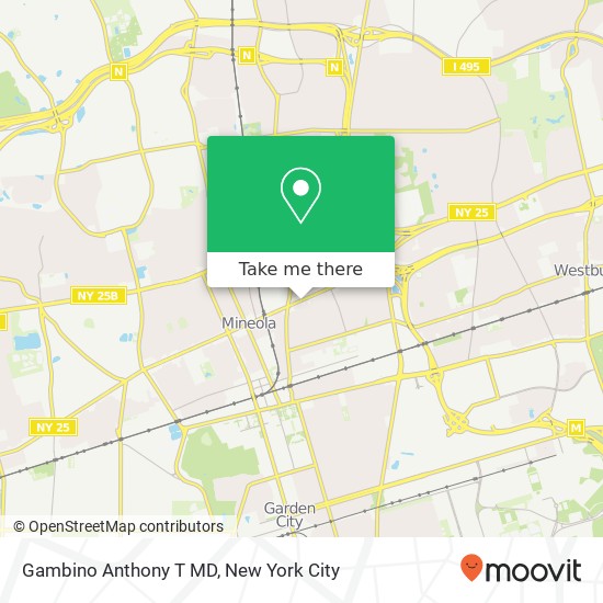 Gambino Anthony T MD map