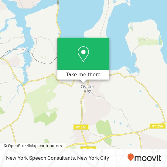 New York Speech Consultants map