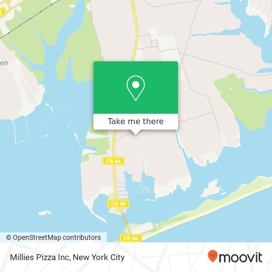 Millies Pizza Inc map
