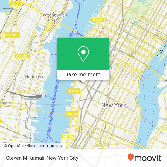 Steven M Kamali map