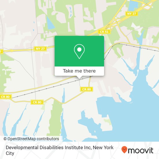 Developmental Disabilities Institute Inc map