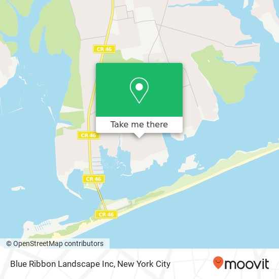 Blue Ribbon Landscape Inc map