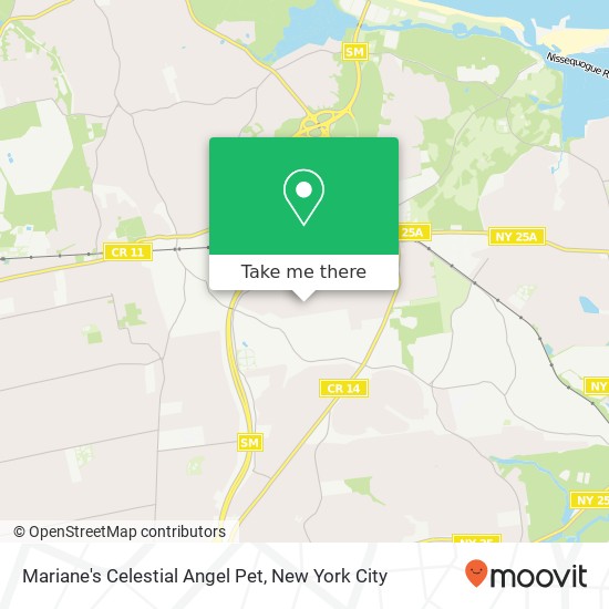 Mariane's Celestial Angel Pet map