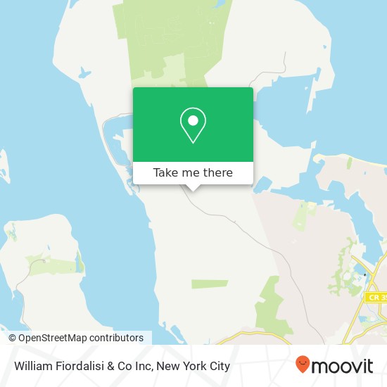 William Fiordalisi & Co Inc map