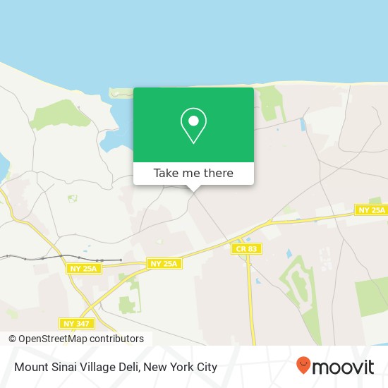 Mount Sinai Village Deli map