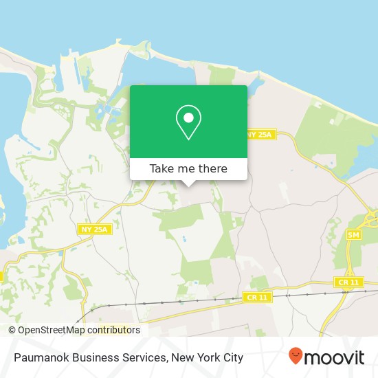 Paumanok Business Services map