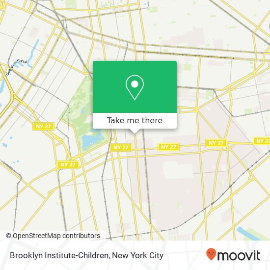 Mapa de Brooklyn Institute-Children