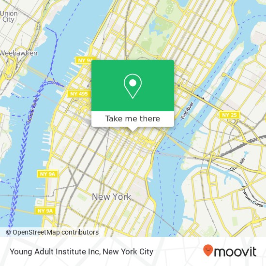 Mapa de Young Adult Institute Inc