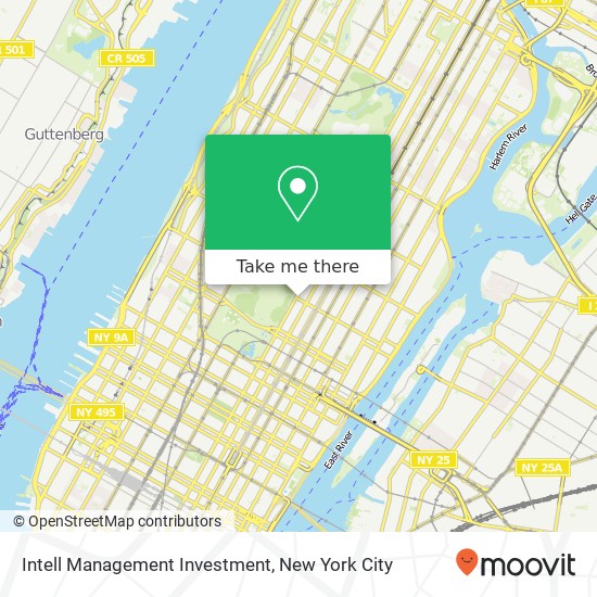 Mapa de Intell Management Investment