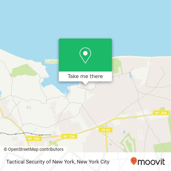 Mapa de Tactical Security of New York