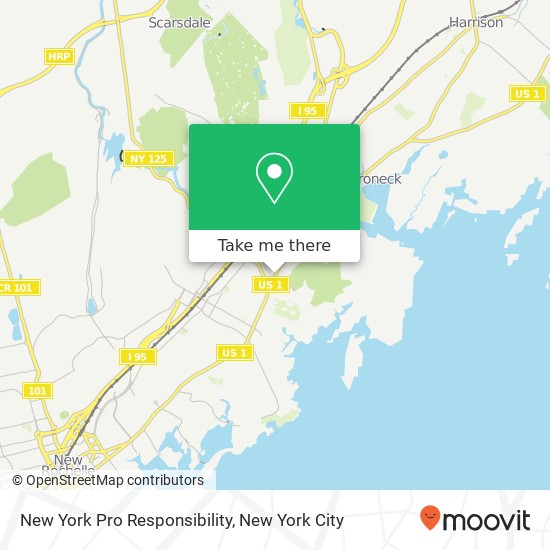 Mapa de New York Pro Responsibility