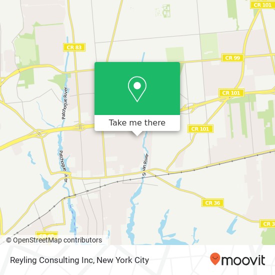 Reyling Consulting Inc map
