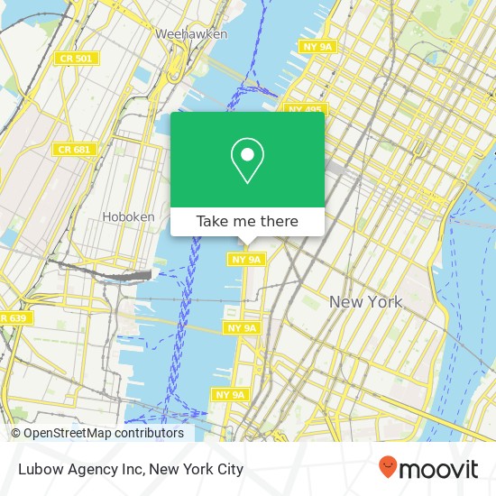 Lubow Agency Inc map
