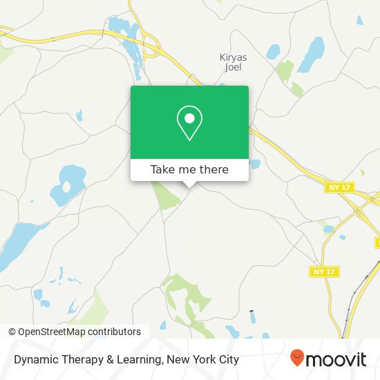 Dynamic Therapy & Learning map