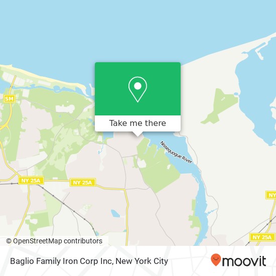 Baglio Family Iron Corp Inc map