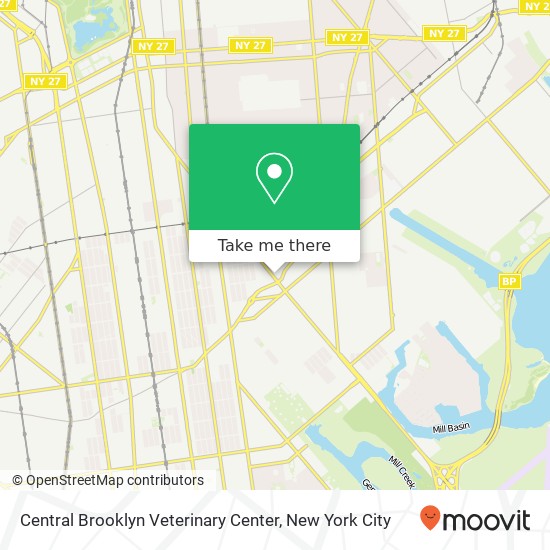 Mapa de Central Brooklyn Veterinary Center