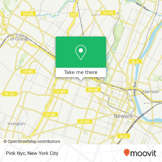 Pink Nyc map