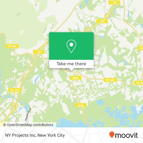 NY Projects Inc map