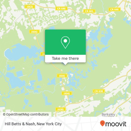 Hill Betts & Nash map