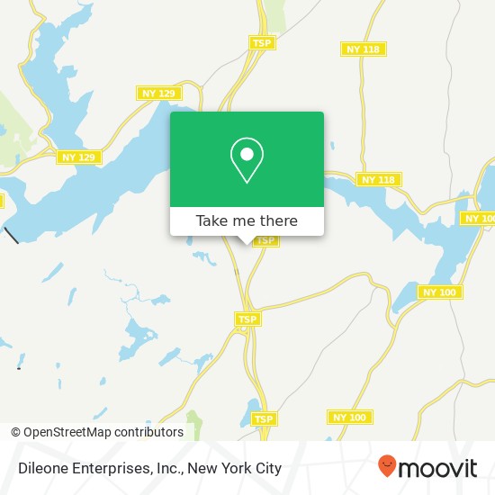 Dileone Enterprises, Inc. map