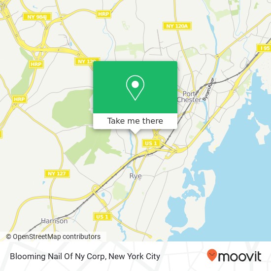 Mapa de Blooming Nail Of Ny Corp