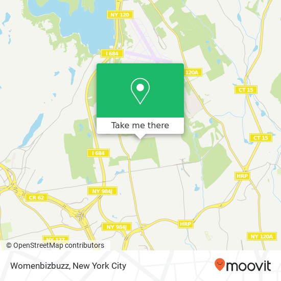 Womenbizbuzz map