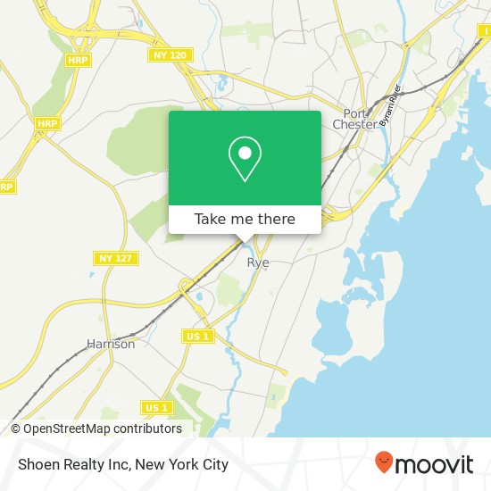 Shoen Realty Inc map