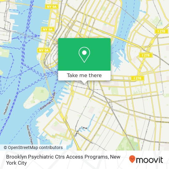 Brooklyn Psychiatric Ctrs Access Programs map