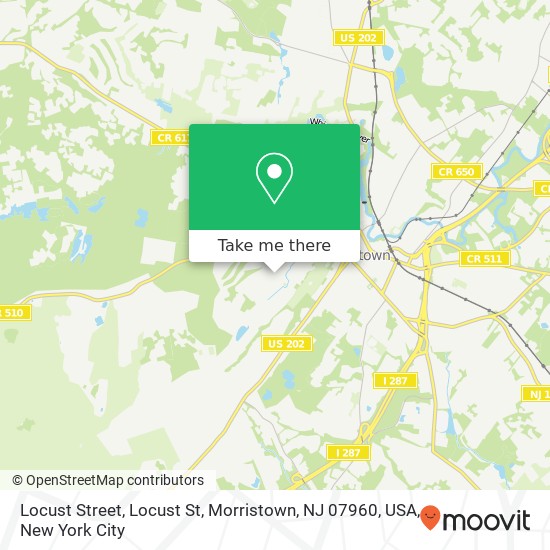 Mapa de Locust Street, Locust St, Morristown, NJ 07960, USA