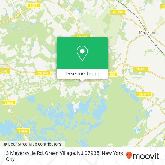 3 Meyersville Rd, Green Village, NJ 07935 map