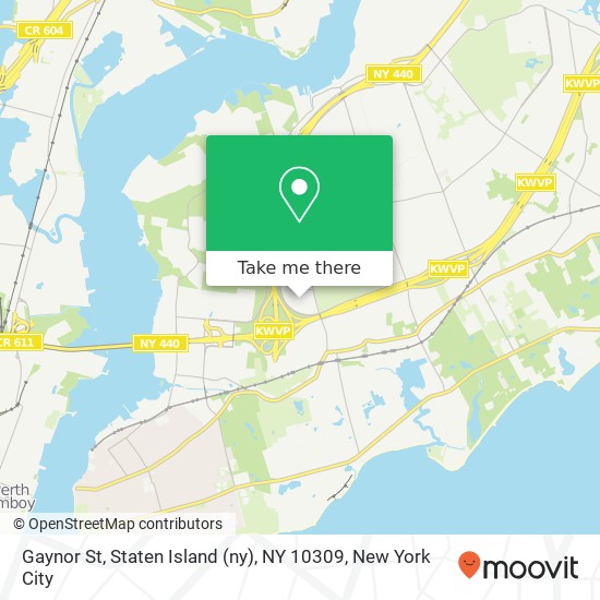 Mapa de Gaynor St, Staten Island (ny), NY 10309